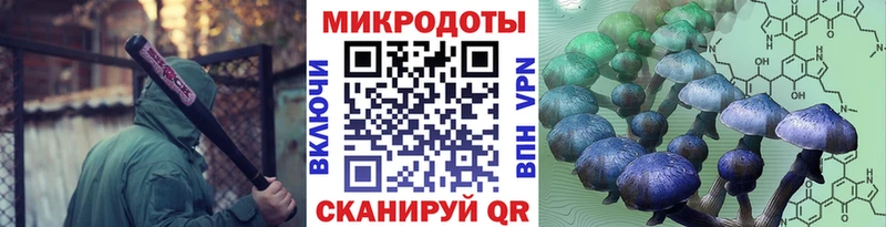 Галлюциногенные грибы мухоморы  Лесозаводск 